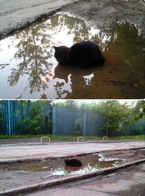 18 правил для жаркого лета