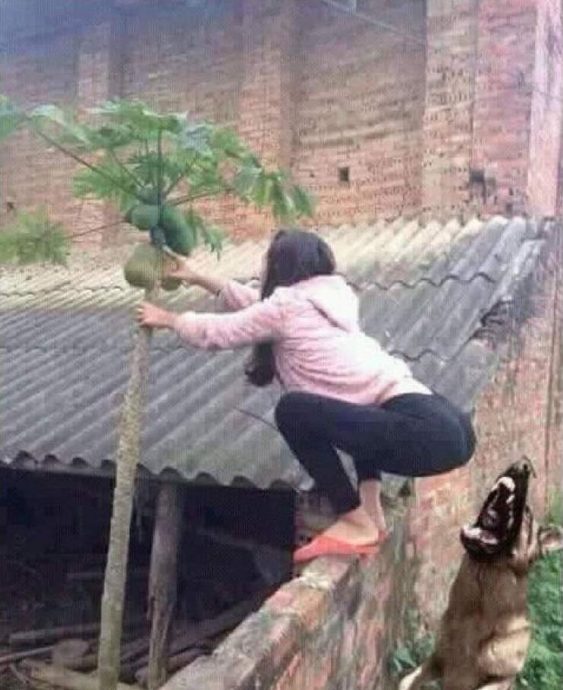 женская логика непобедима