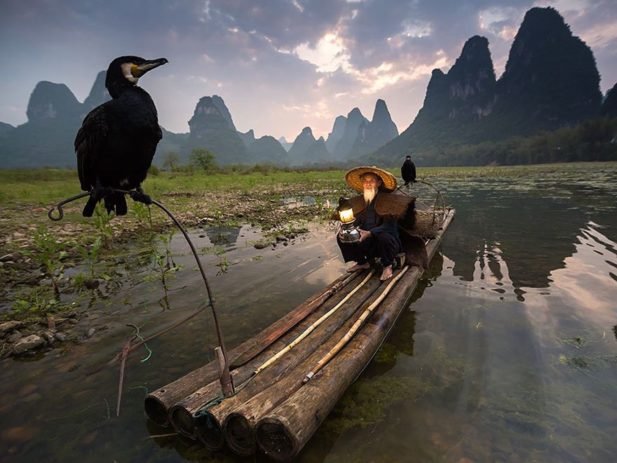 Кормушки для птиц в Китае 