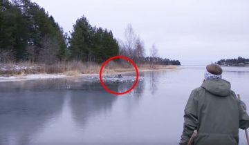 провалилось под лед