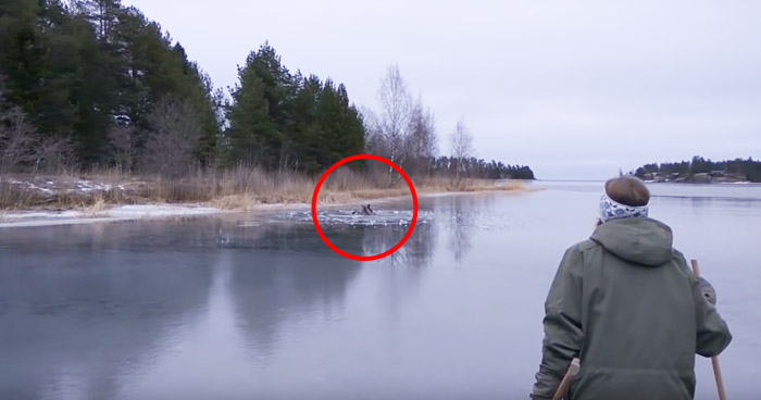 провалилось под лед