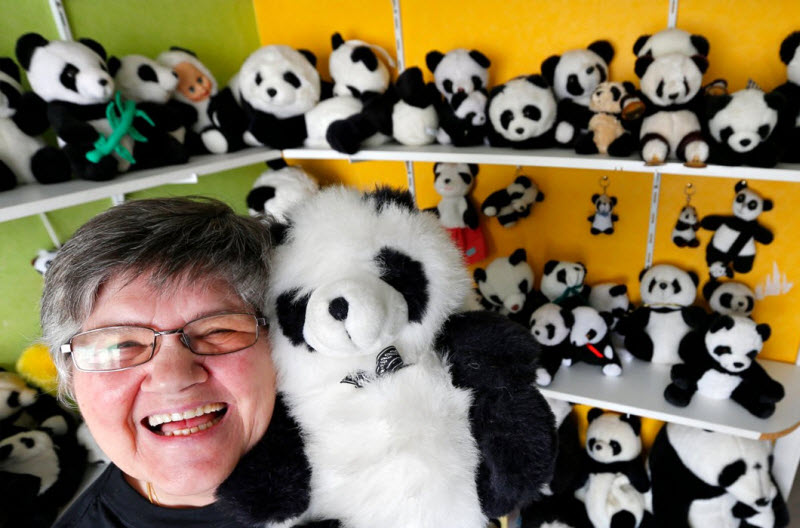 Селин Корне с мужем из бельгийского города Аккур имеют одну из самых мимимишных коллекций. Свыше 2000 мягких игрушек, изображающих панд, хранятся в их квартире. Первый представитель коллекции появился аж в 1978 году!