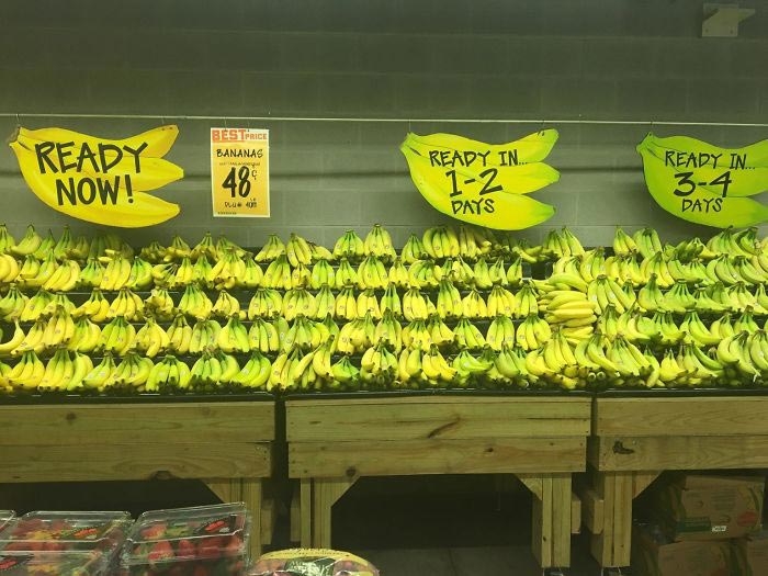 Степень зрелости бананов, благодаря которому вы можете сделать выбор, в зависимости от того, когда вы планируете их использовать