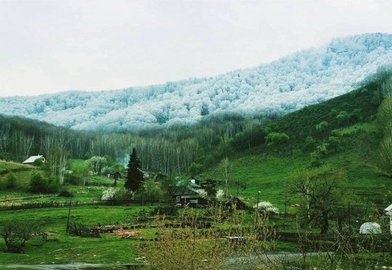 Заснеженные горы окружают зелёную долину