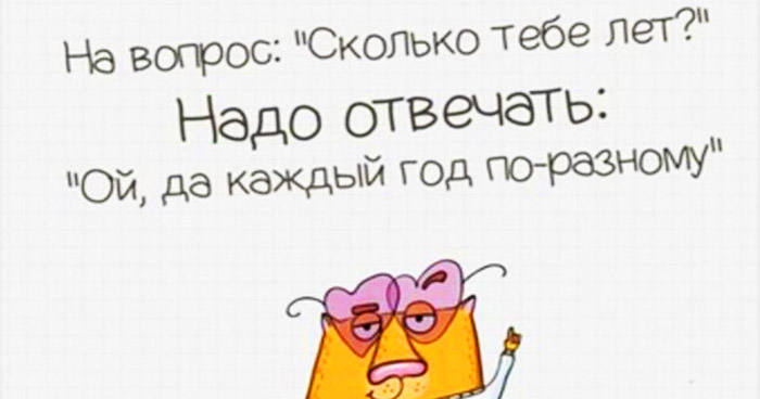 Забавный котик
