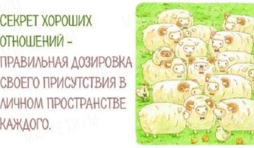 несколько мудрых мыслей