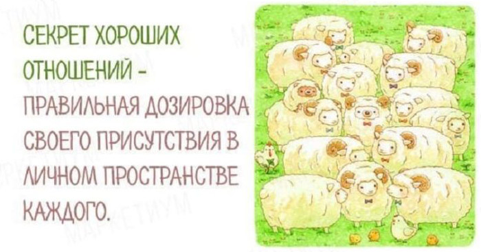 несколько мудрых мыслей