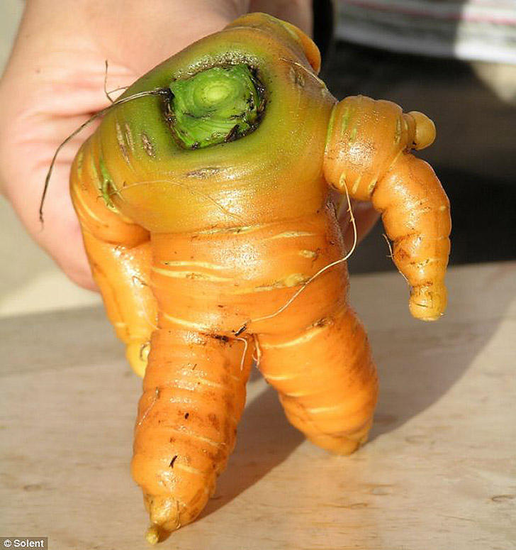 3. Межгалактический рейнджер. Точнее, морковка в роли Базза Лайтера из «Истории игрушек».