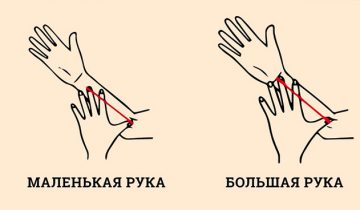 размер руки