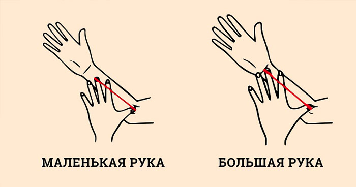 размер руки