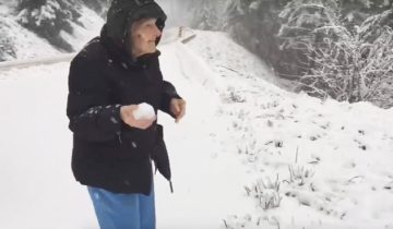 попросила остановиться