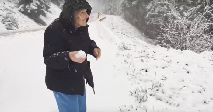 попросила остановиться