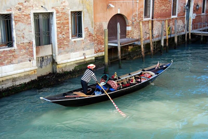 4. Венеция построена на сваях из российской лиственницы, которая почти не гниет в воде.