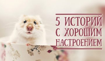 поднимут настроение