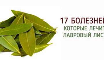 Лавровый лист