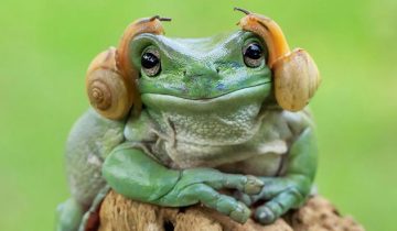 индонезийский фотограф