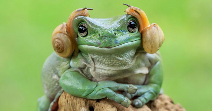 индонезийский фотограф
