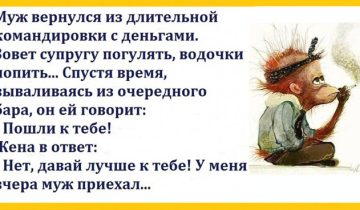 забавные истории