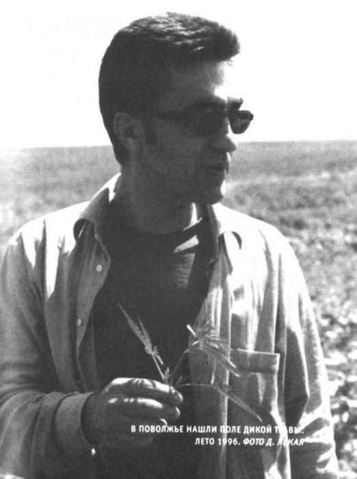 Человек, похожий на Вячеслава Геннадьевича, держит в руках, предположительно, листья растительного происхождения, напоминающие коноплю. 