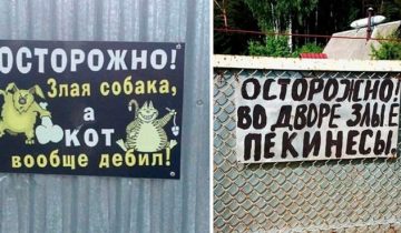 наличии собак