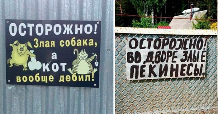 наличии собак