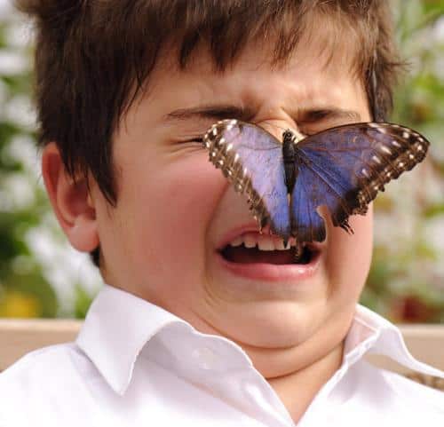 1. Эффект бабочки