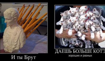 смешные демотиваторы