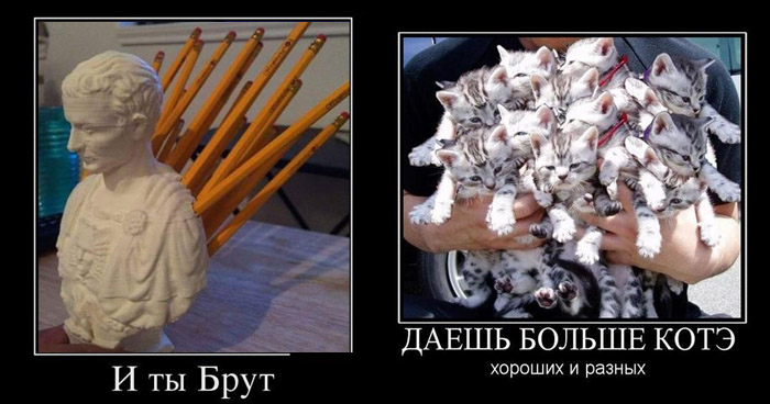 смешные демотиваторы