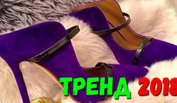 главный цвет