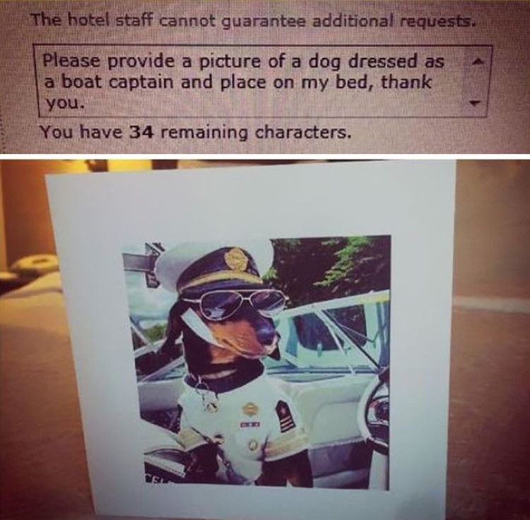 «Пожалуйста, предоставьте фотографию собаки, наряженной капитаном корабля, и поставьте ее на кровать, спасибо».