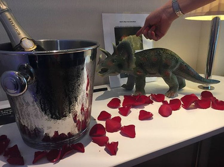 «Когда я бронировал отель несколько месяцев назад, я оставил несколько шуточных пожеланий… Шампанское, розы и пластмассовый динозавр».
