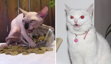 дьявольские создания