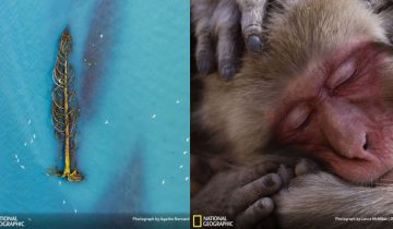 National Geographic