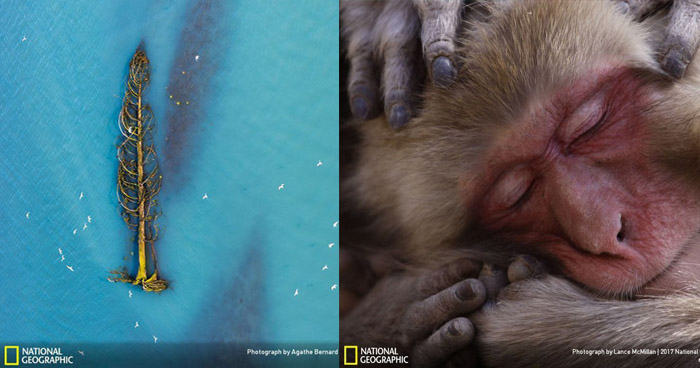 National Geographic