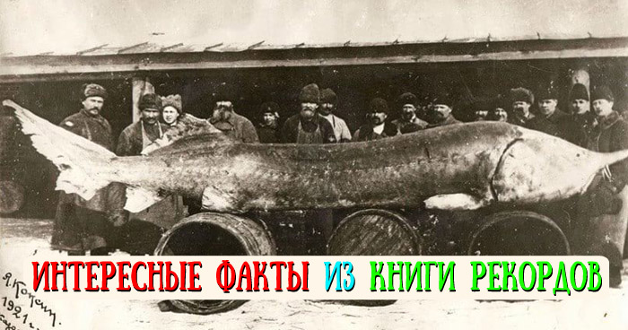 Интересные факты