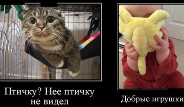 Забавные демотиваторы