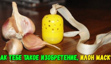 Илон Маск