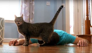 любовь и преданность
