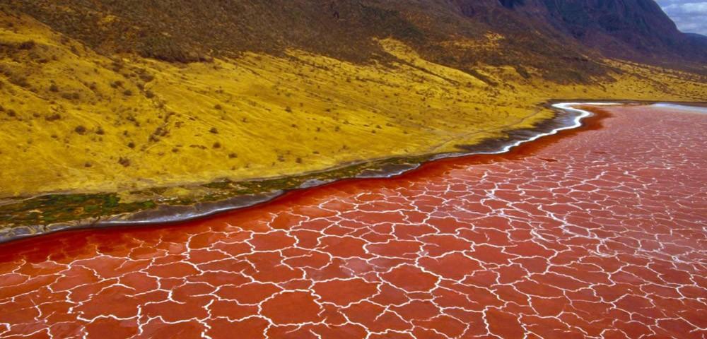 Но когда испарение воды приводит к значительному повышению щелочности Натрона, активизируются некоторые виды бактерий, жизнедеятельность которых окрашивает озеро в кроваво-красный цвет.