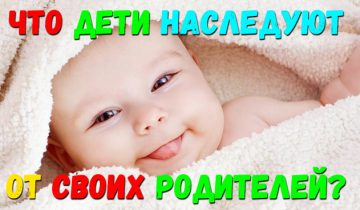 дети наследуют