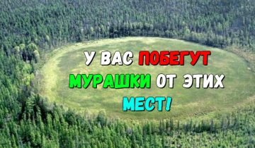 жутких мест