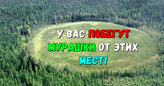 жутких мест