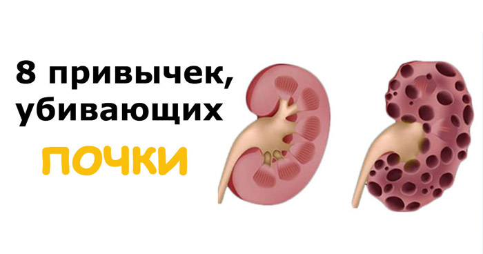 ваши почки