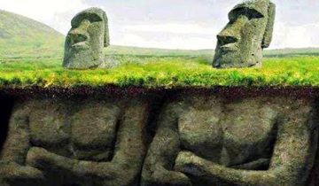 из учебников истории