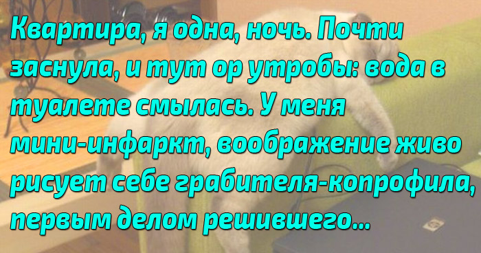 крайне хитрые
