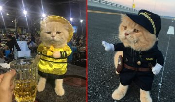продавец рыбы