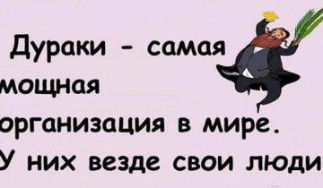 ярких красок
