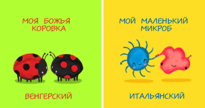 своих любимых
