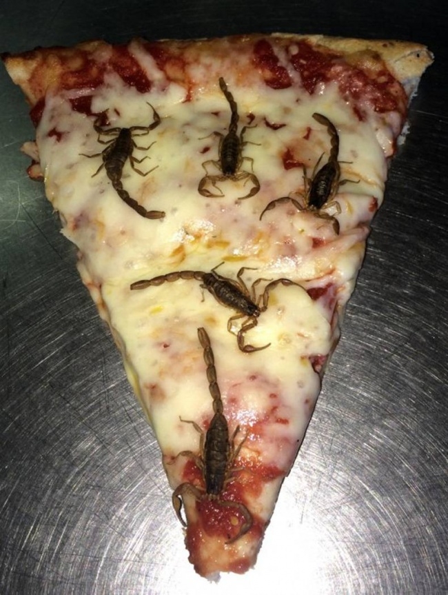 Пицца как пицца. Только со скорпионами