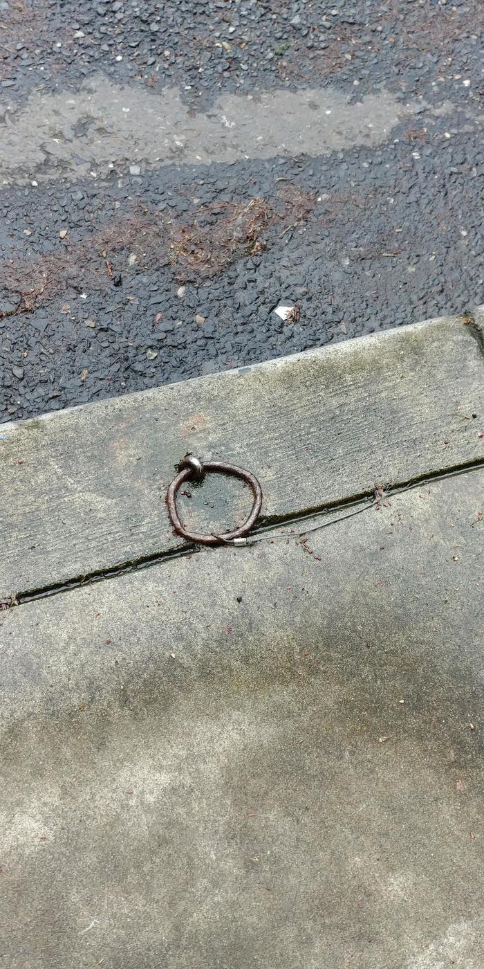 7. «Такие кольца можно найти по всему штату Орегон». «Это кольцо для привязывания лошадей».